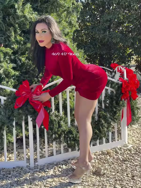 companion TS Andressa / TS Alexxandria in Dallas, TX