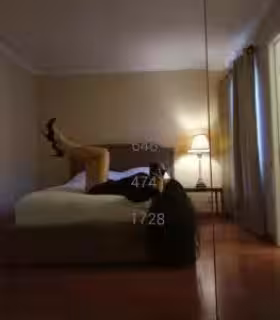Escort/Massage TS Ms Achelois in New York City - Manhattan, NY