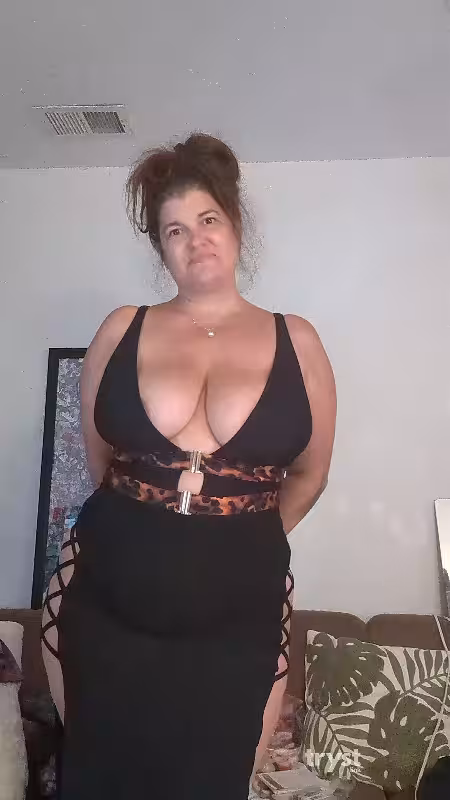 companion Kristal Kitty in Tysons Corner, VA